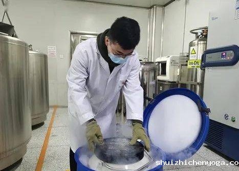 微信截图_20231129133433.jpg