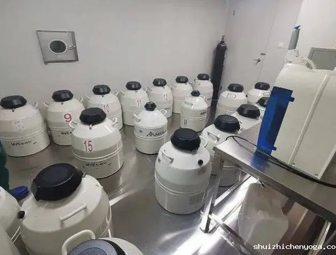 液氮储存